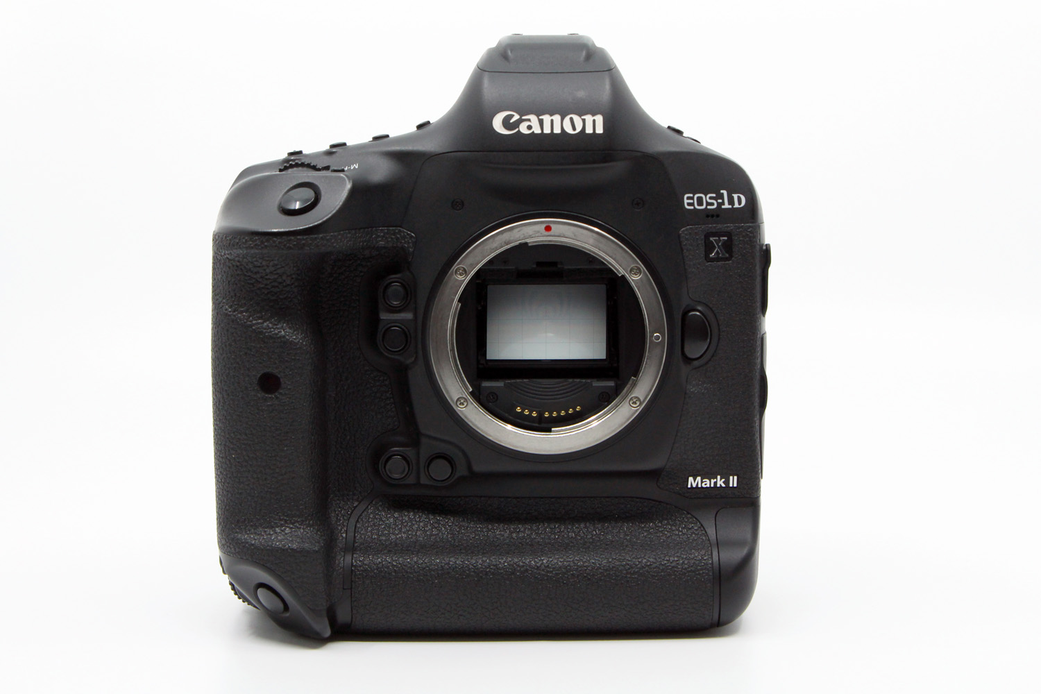 Canon EOS 1DX Mark II | IMG_0295.jpg