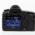 Canon EOS 5D Mark II | IMG_8897.jpg