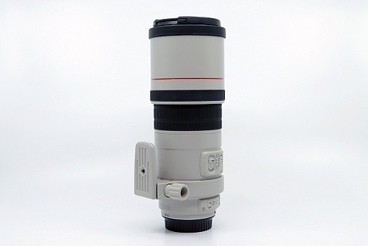 Canon EF 300mm f4 L IS USM | IMG_9651.JPG