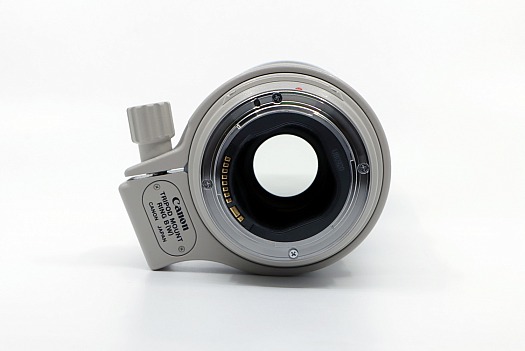 Canon EF 300mm f4 L IS USM | IMG_9654.JPG
