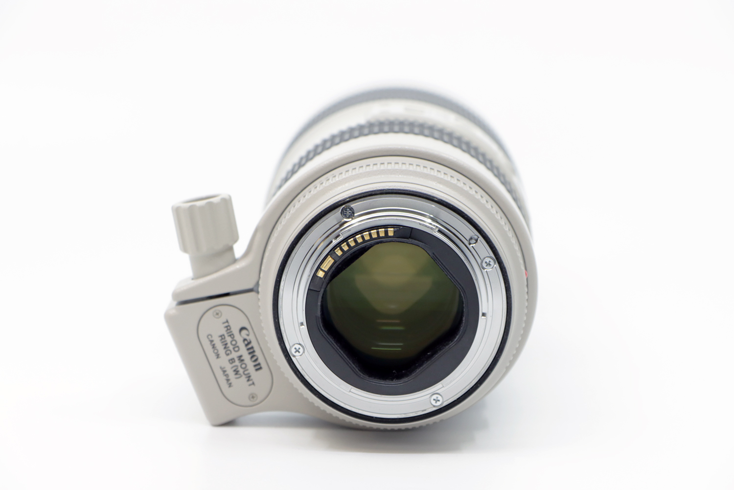 Canon EF 70-200mm F2.8 L IS II USM | IMG_9761.JPG