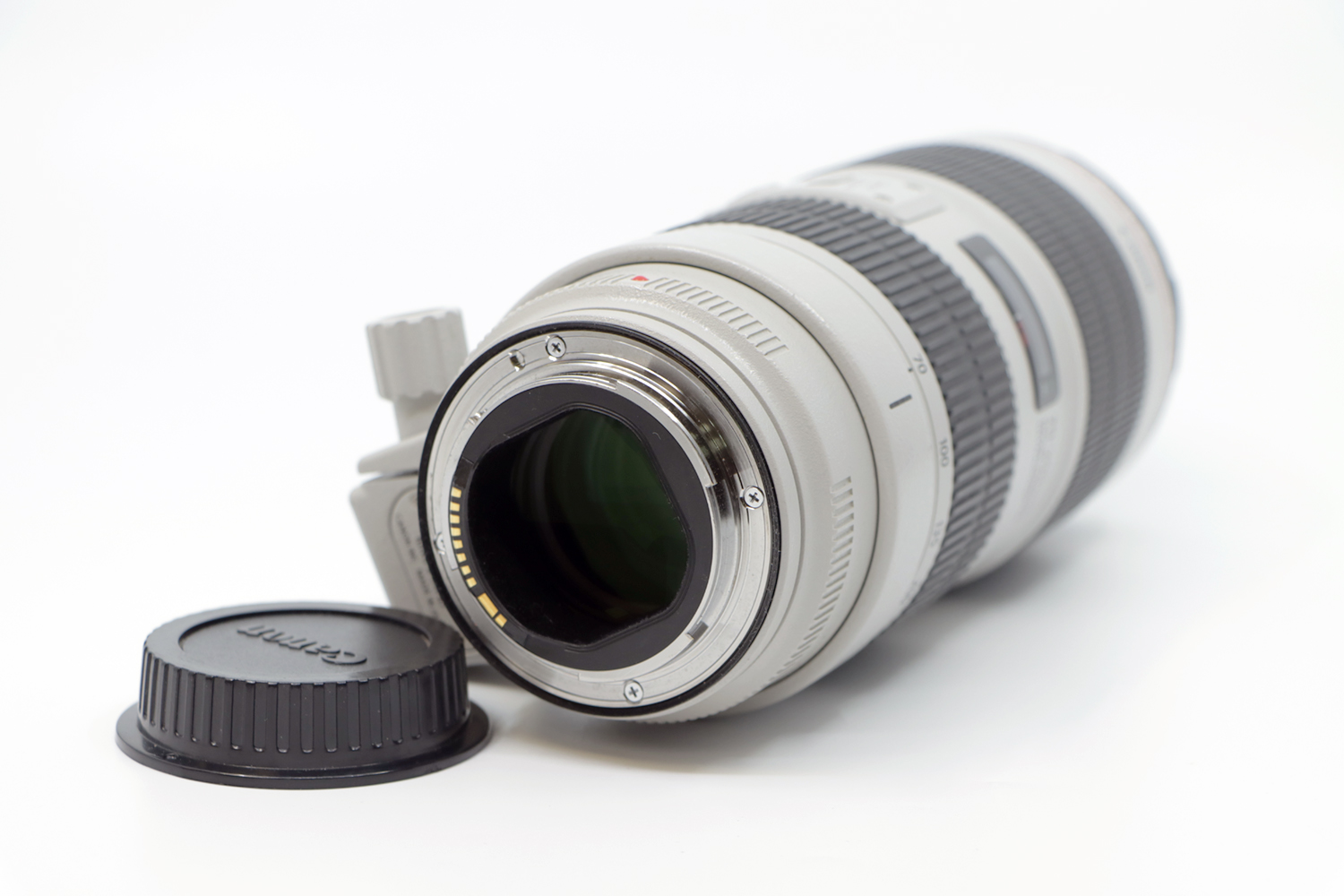 Canon EF 70-200mm F2.8 L IS III USM | IMG_0871.JPG