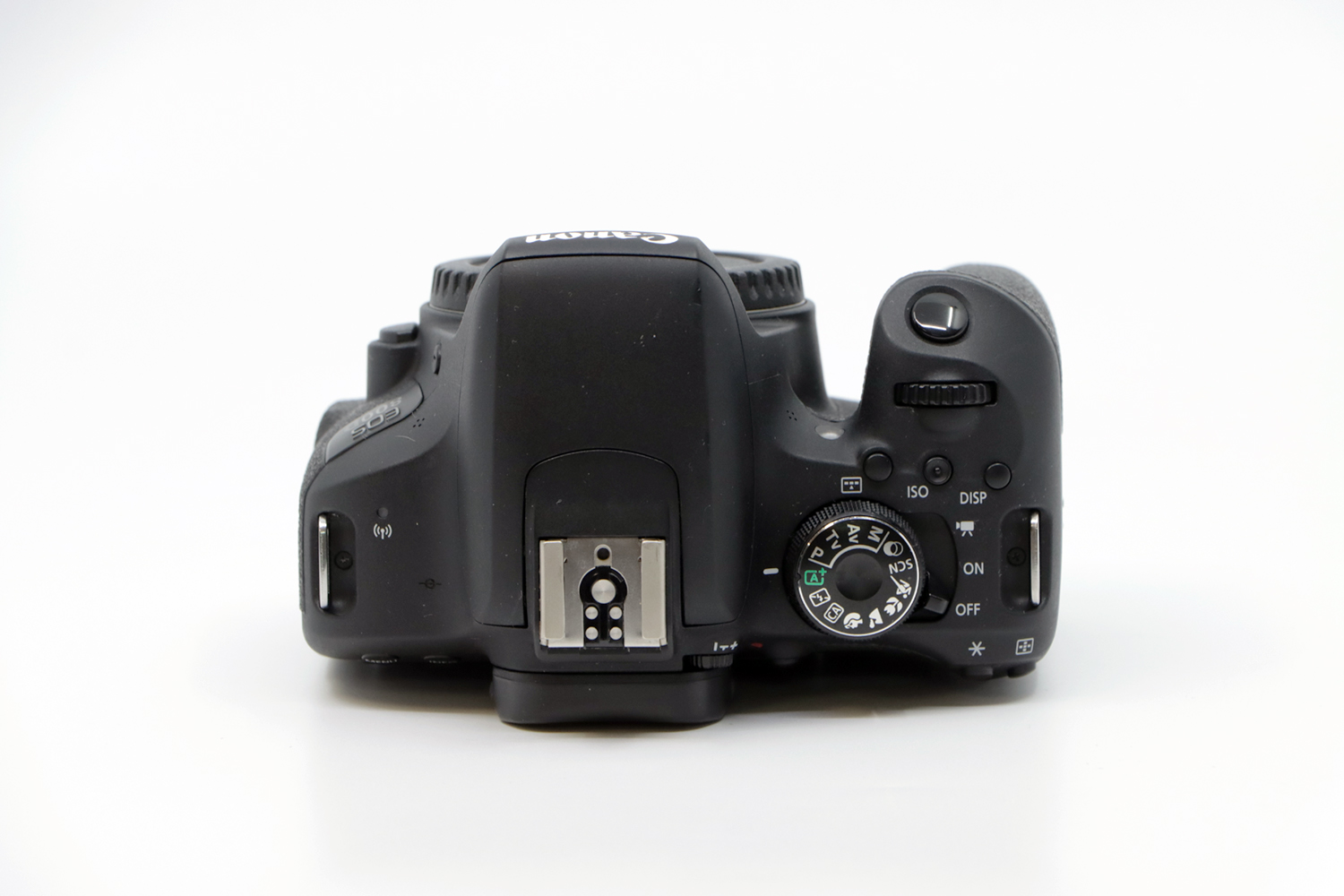 Canon EOS 800D | IMG_2214.JPG