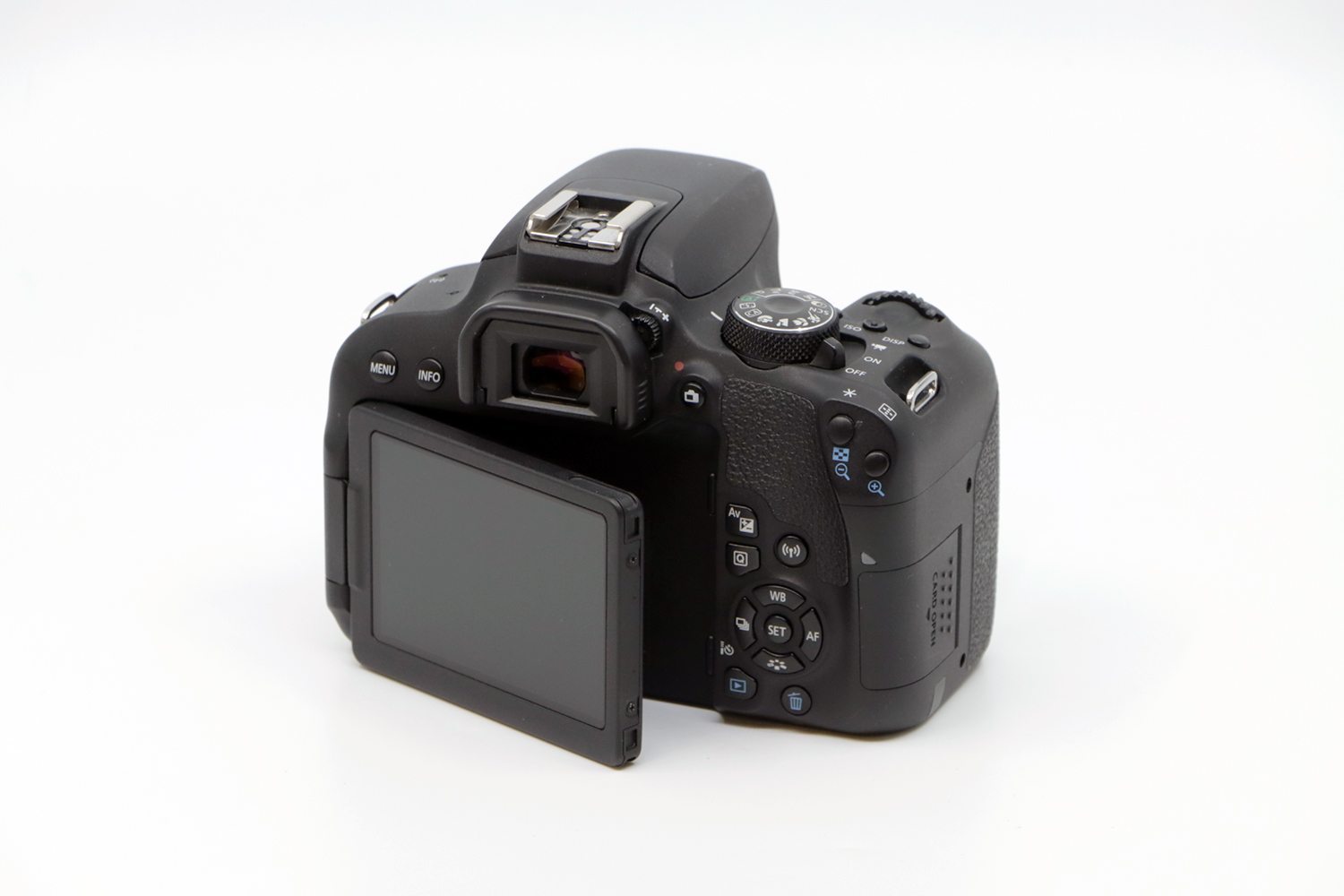 Canon EOS 800D | IMG_2213.JPG