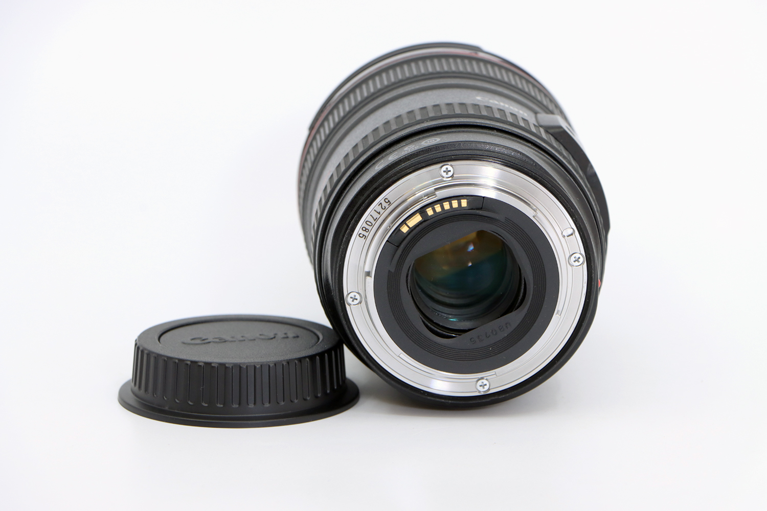 Canon EF 24-105mm F4 L IS USM | IMG_1643.JPG